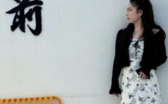 国产高清打桩机42分钟